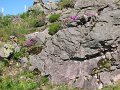 (96) 2007 En passant par Ahusquy